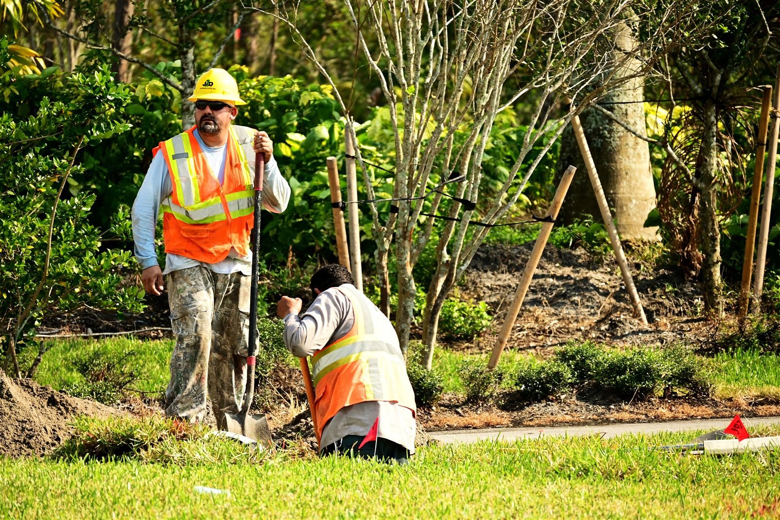 Two workers in hi-vis vests and hardhats doing landscaping groundwork among young trees